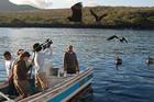 Students photograph birds in the Galapagos as part of the new interdisciplinary course The Practice of Environmentalism: Science, Policy and Communication in the Field